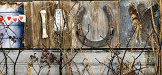 The Insatiable Reverie - June 9, 2011