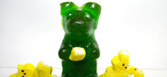 Viva La Gummy - March 19, 2011